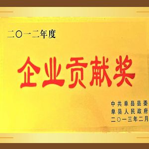 企業(yè)貢獻(xiàn)獎(jiǎng)